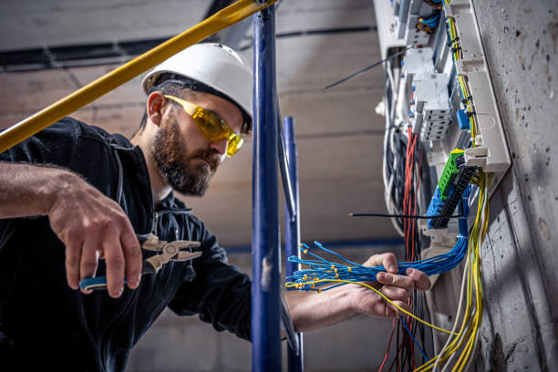 Best Industrial Electrical Services  in Fowler, MI