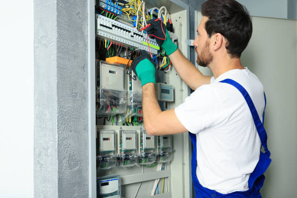 Best Electrical Repair Services  in Fowler, MI