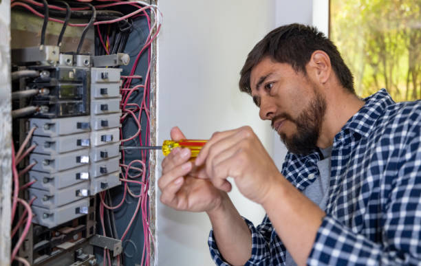 Best Electrical System Inspection  in Fowler, MI